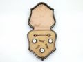 Antique Mother of Pearl Button & Pin Dress Set