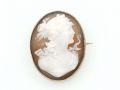 Antique shell cameo of a woman's profile brooch